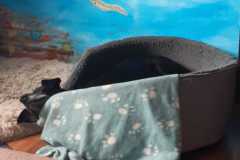 IMG-20210523-WA0001